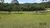 Sítio, 3 quartos, 3 hectares - Foto 1