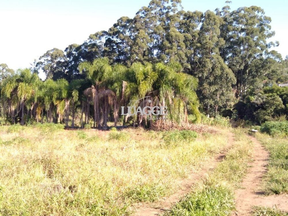 Terreno à venda, 36902m² - Foto 1