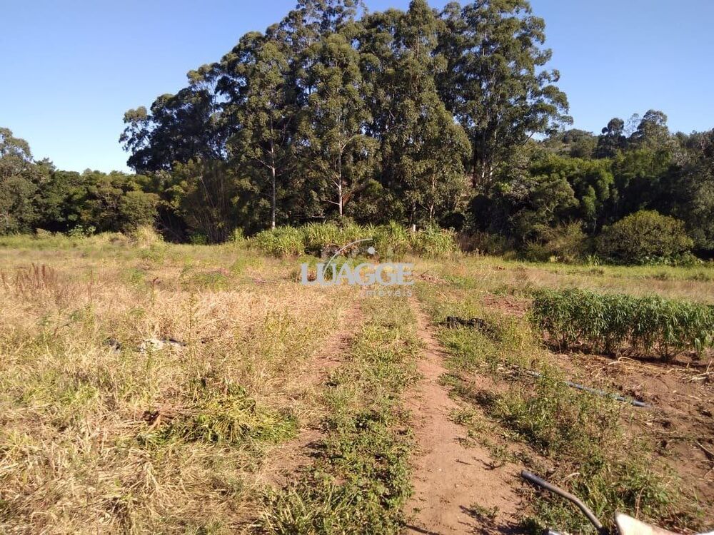 Terreno à venda, 36902m² - Foto 4