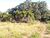 Terreno, 4 hectares - Foto 1