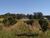 Terreno, 4 hectares - Foto 3