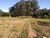 Terreno, 4 hectares - Foto 4