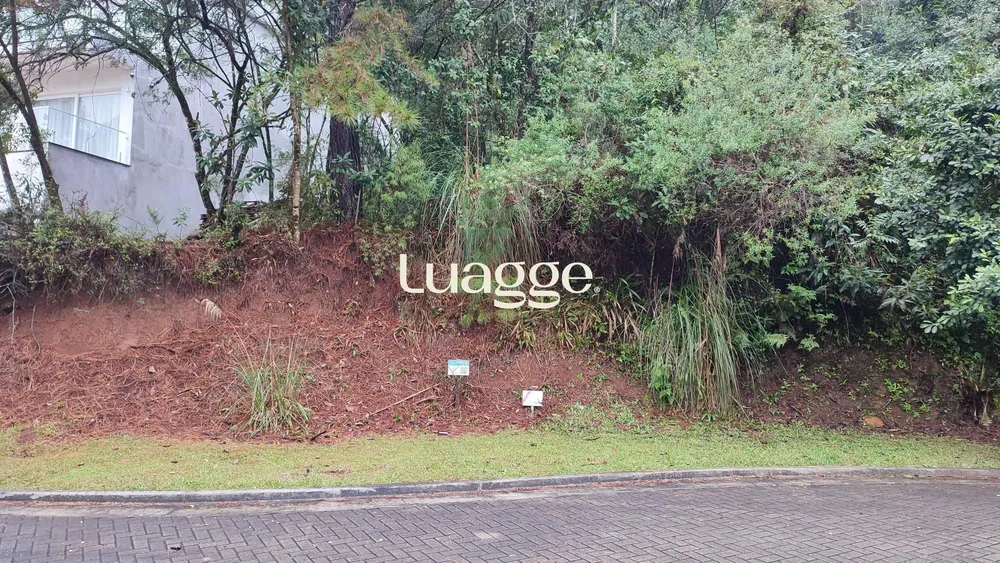Terreno, 5 hectares - Foto 4