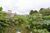 Terreno, 589 m² - Foto 3