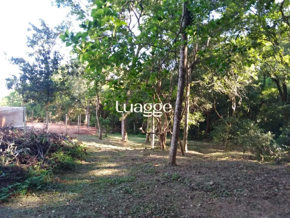 Terreno, 3801 m² - Foto 4