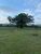 Terreno, 7 hectares - Foto 2