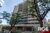 Apartamento, 3 quartos, 118 m² - Foto 1