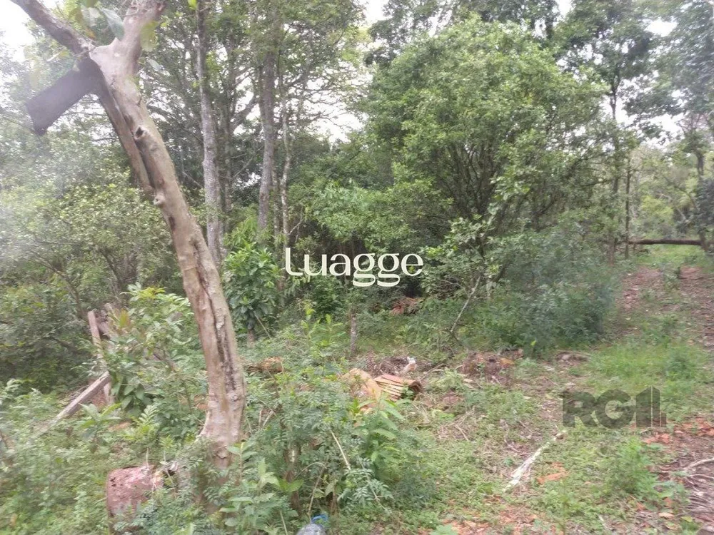Terreno, 5 hectares - Foto 1