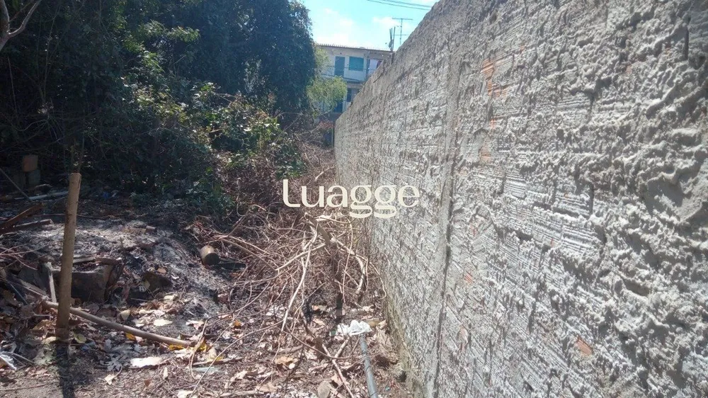 Casa, 4 quartos, 246 m² - Foto 3