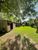 Terreno, 1019 m² - Foto 2