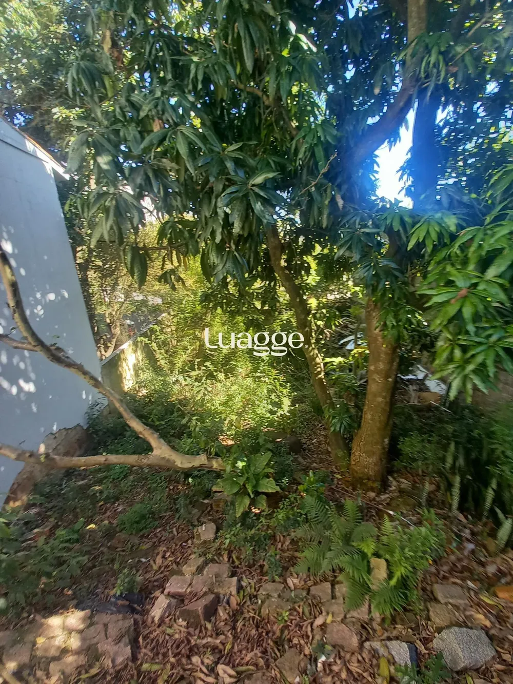 Apartamento, 2 quartos, 57 m² - Foto 3