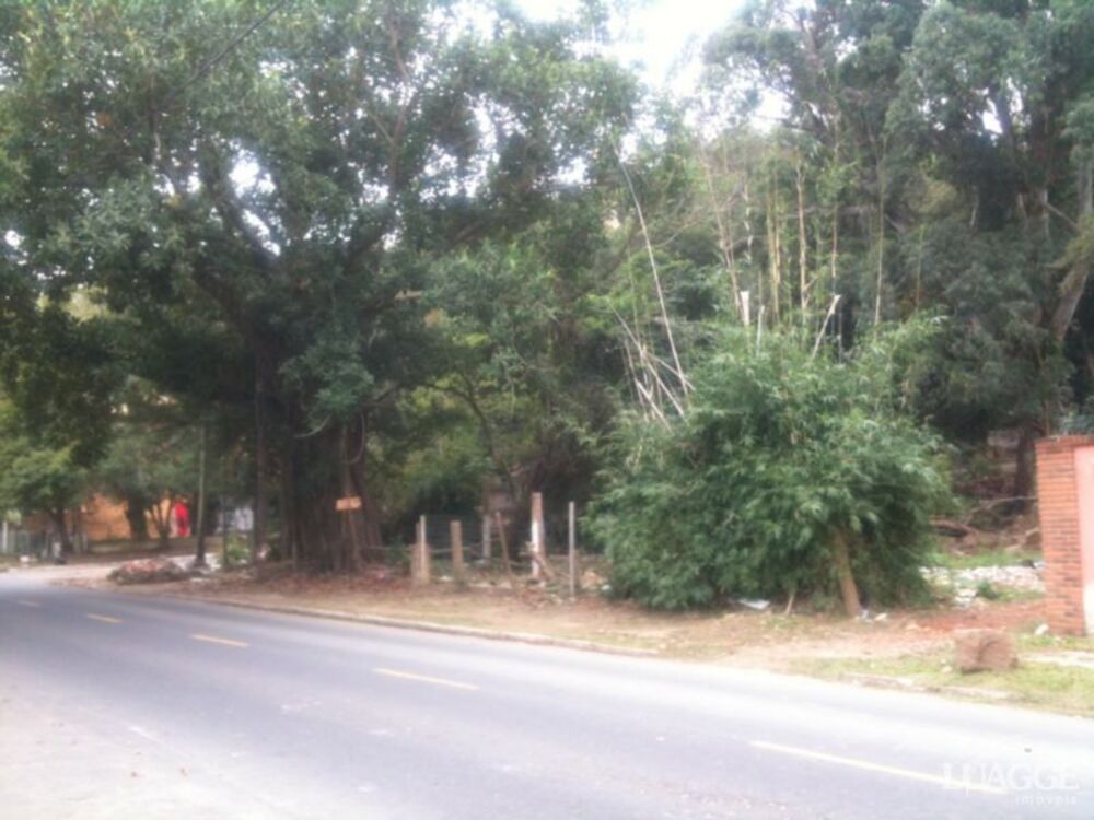 Terreno à venda, 1451m² - Foto 2