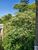 Terreno, 258 m² - Foto 2