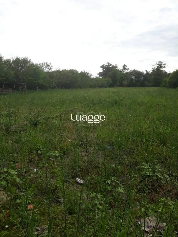 Terreno, 3 hectares - Foto 1