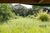 Terreno, 1 hectares - Foto 3