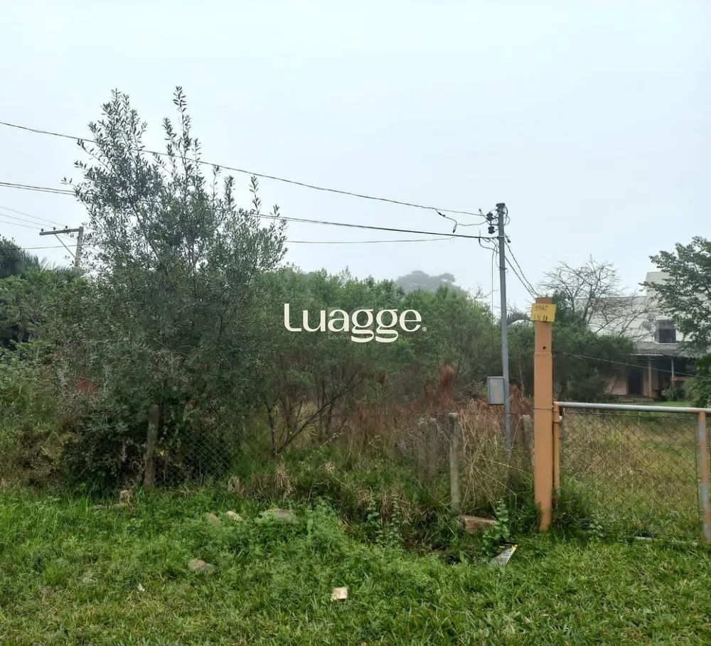 Terreno, 1001 m² - Foto 1