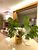 Apartamento, 2 quartos, 63 m² - Foto 3