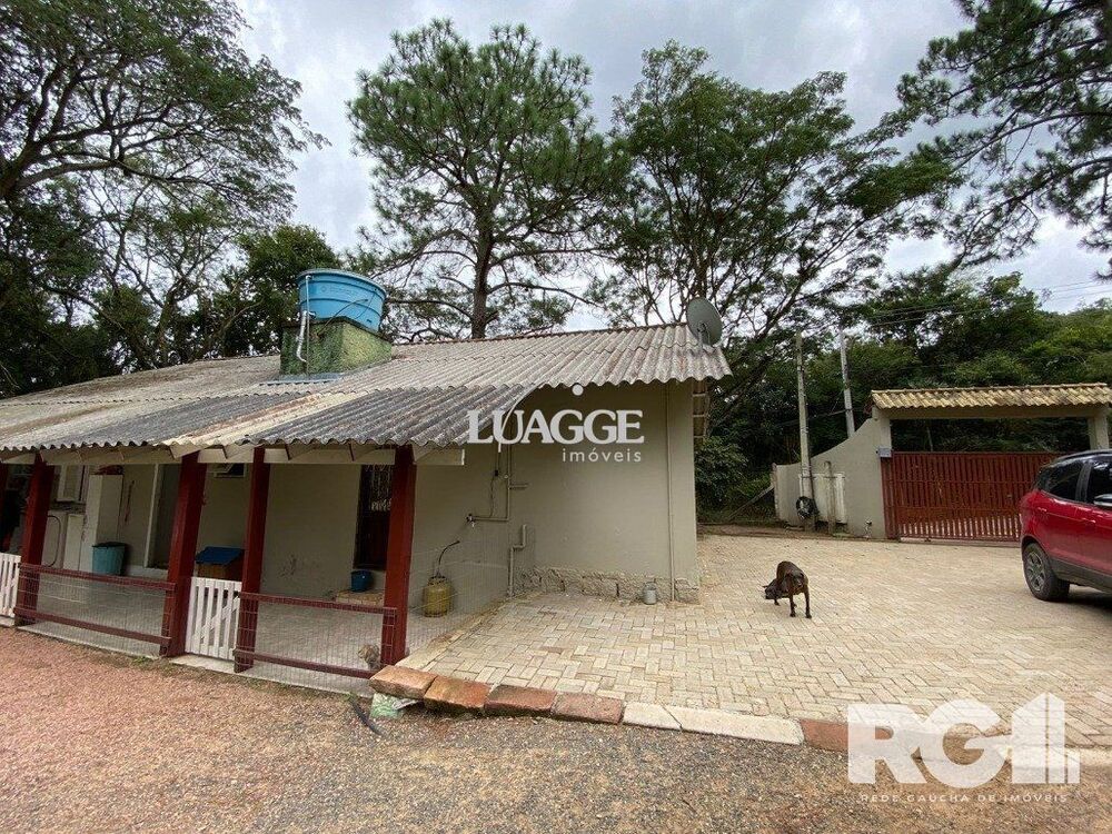 Sítio, 3 quartos, 3461 m² - Foto 13