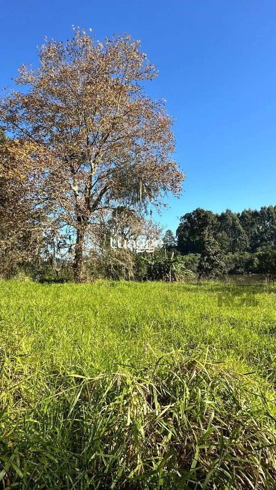 Sítio, 3 quartos, 101 m² - Foto 3