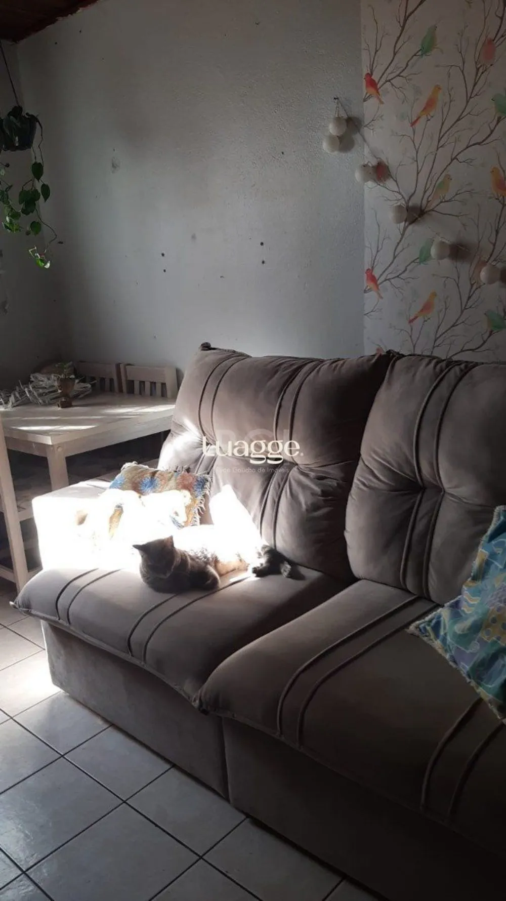 Apartamento, 1 quarto, 38 m² - Foto 3