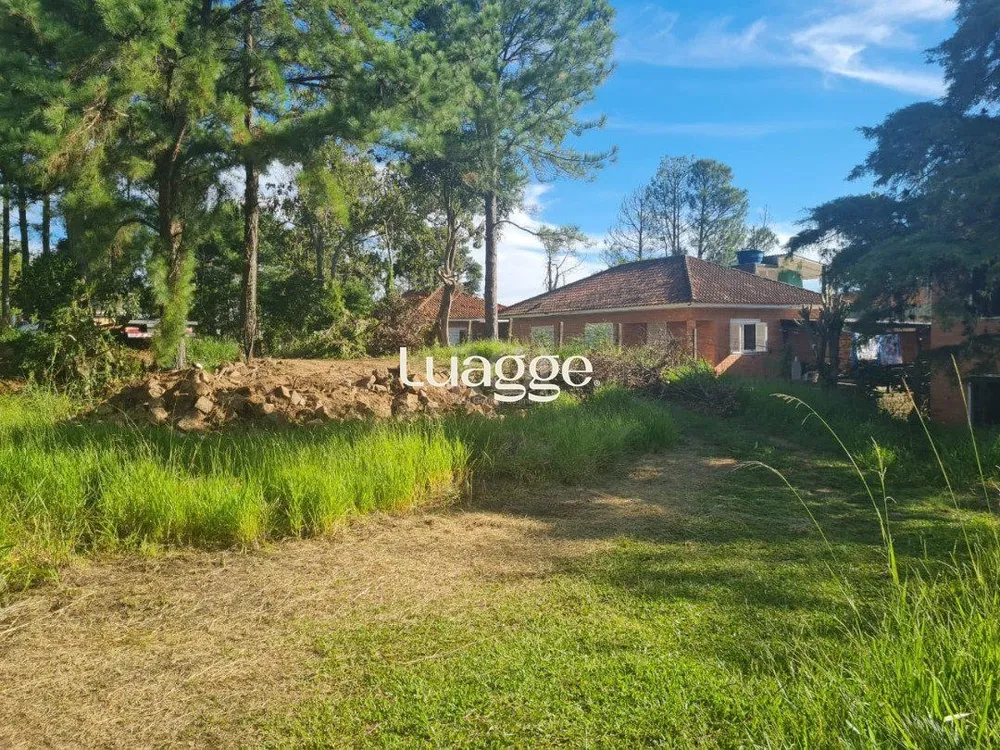 Casa, 3 quartos, 206 m² - Foto 3