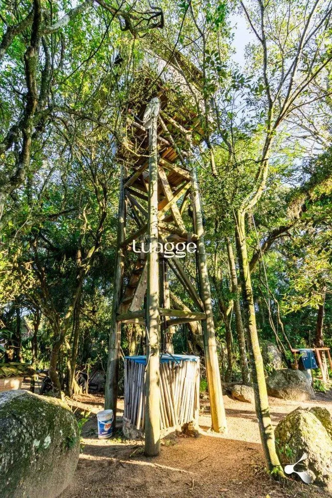 Terreno, 3 hectares - Foto 1