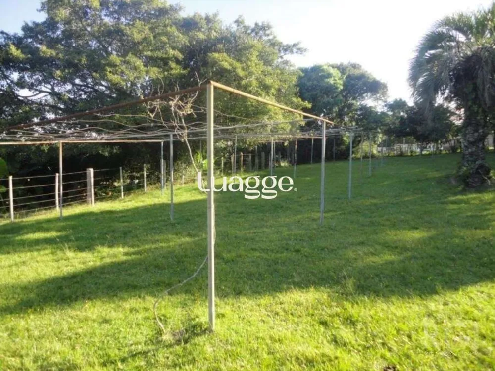 Sítio, 3 quartos, 681 m² - Foto 1