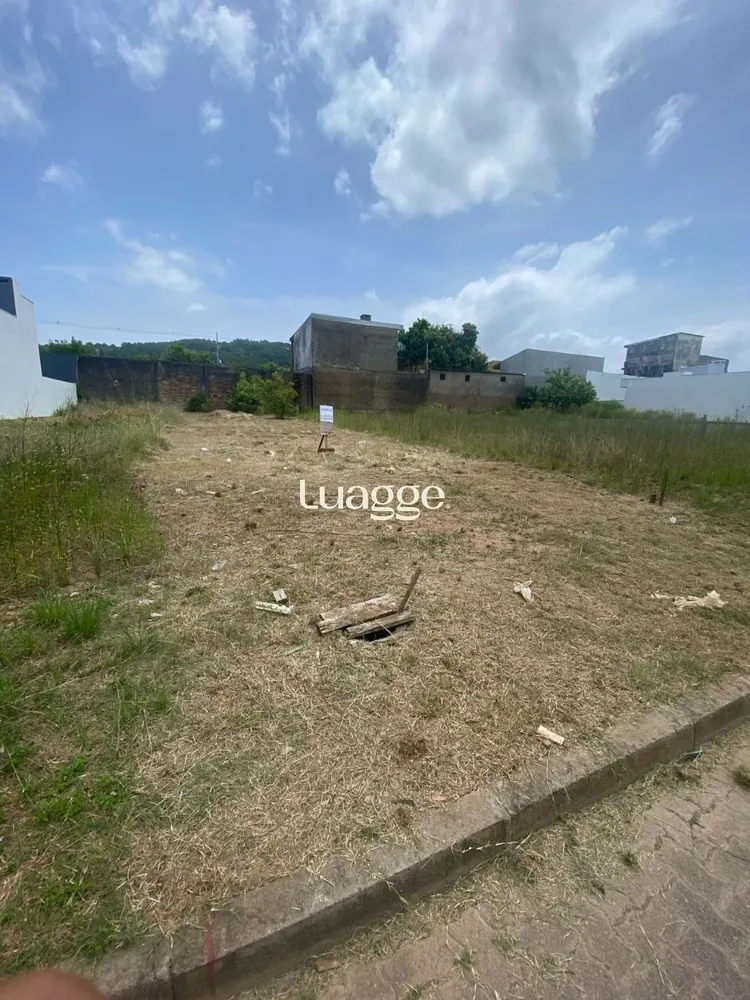 Apartamento, 4 quartos, 82 m² - Foto 4