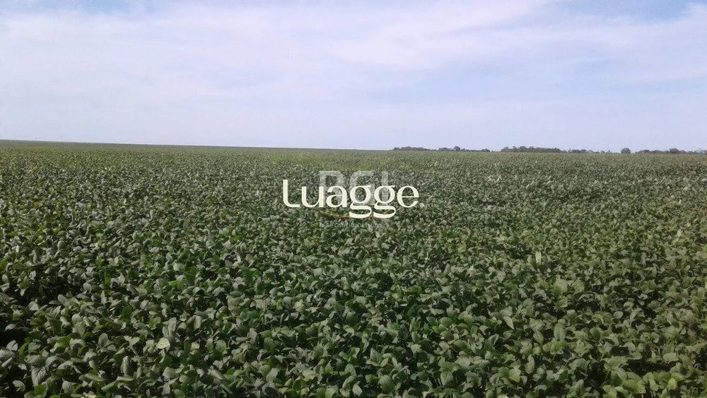 Terreno, 1050 hectares - Foto 1