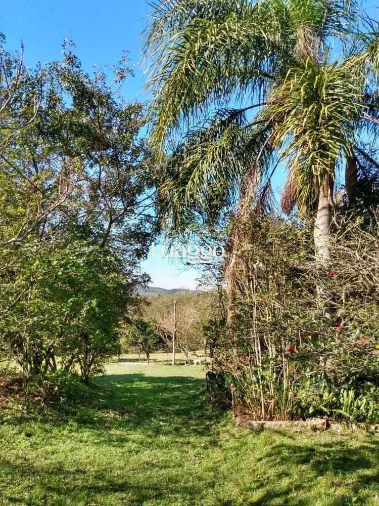Terreno, 4 hectares - Foto 1