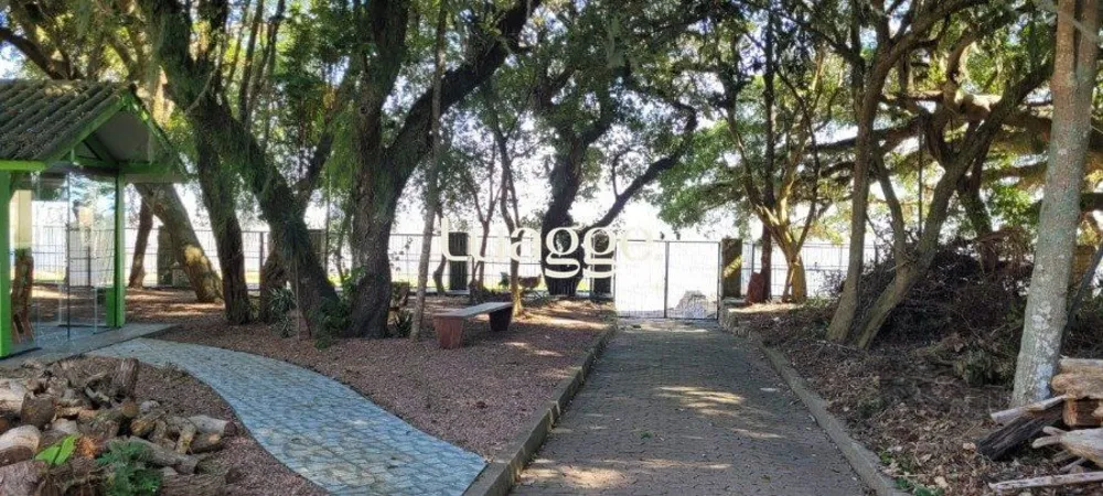 Casa, 4 quartos, 501 m² - Foto 1