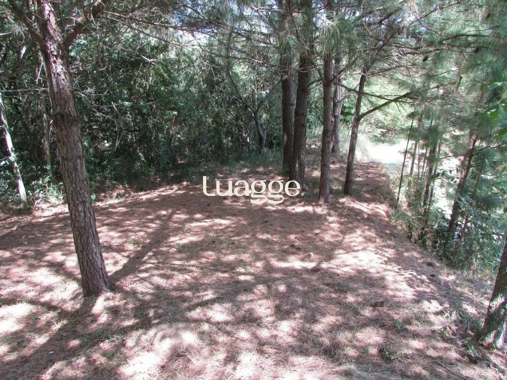 Sítio, 4 quartos, 359 m² - Foto 2