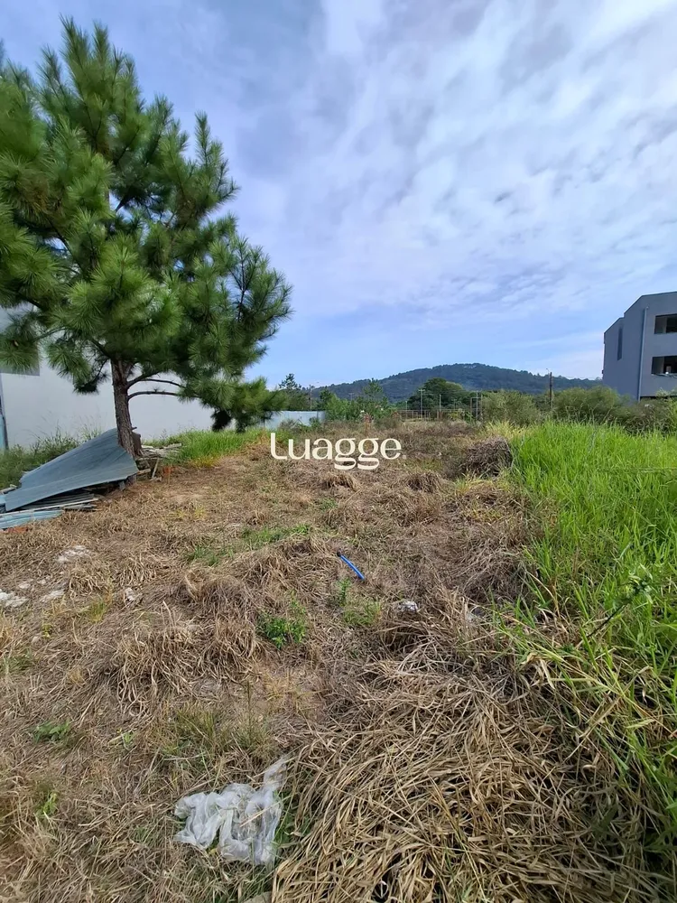 Terreno, 189 m² - Foto 3