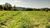 Sítio, 2 hectares - Foto 1