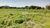 Sítio, 2 hectares - Foto 3