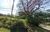 Terreno, 331 m² - Foto 2