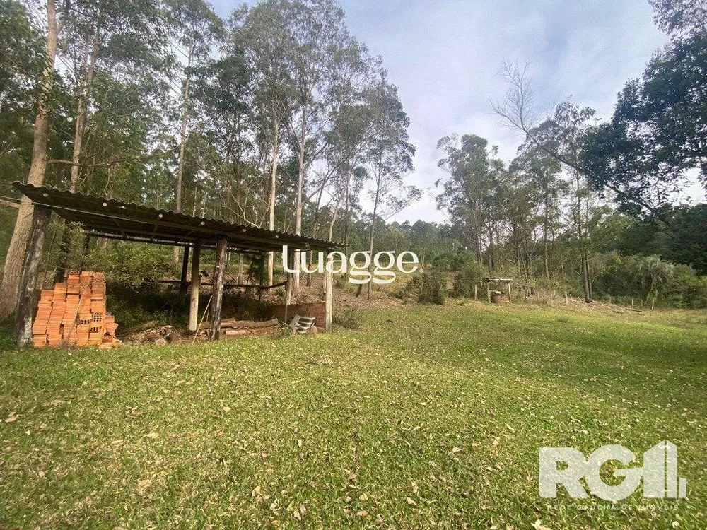Sítio, 3 quartos, 60001 m² - Foto 2