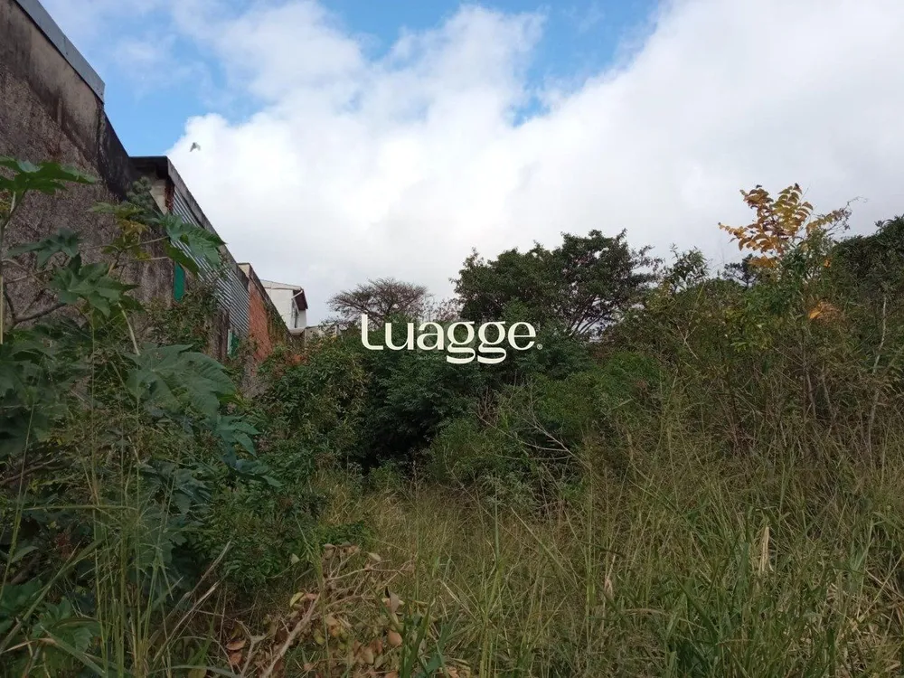 Terreno, 14 hectares - Foto 3