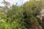 Terreno, 604 m² - Foto 9