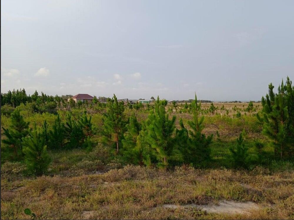 Sítio à venda, 70000m² - Foto 2