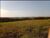 Sítio, 7 hectares - Foto 1