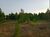 Sítio, 7 hectares - Foto 4
