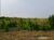 Sítio, 7 hectares - Foto 3