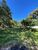 Terreno, 602 m² - Foto 2