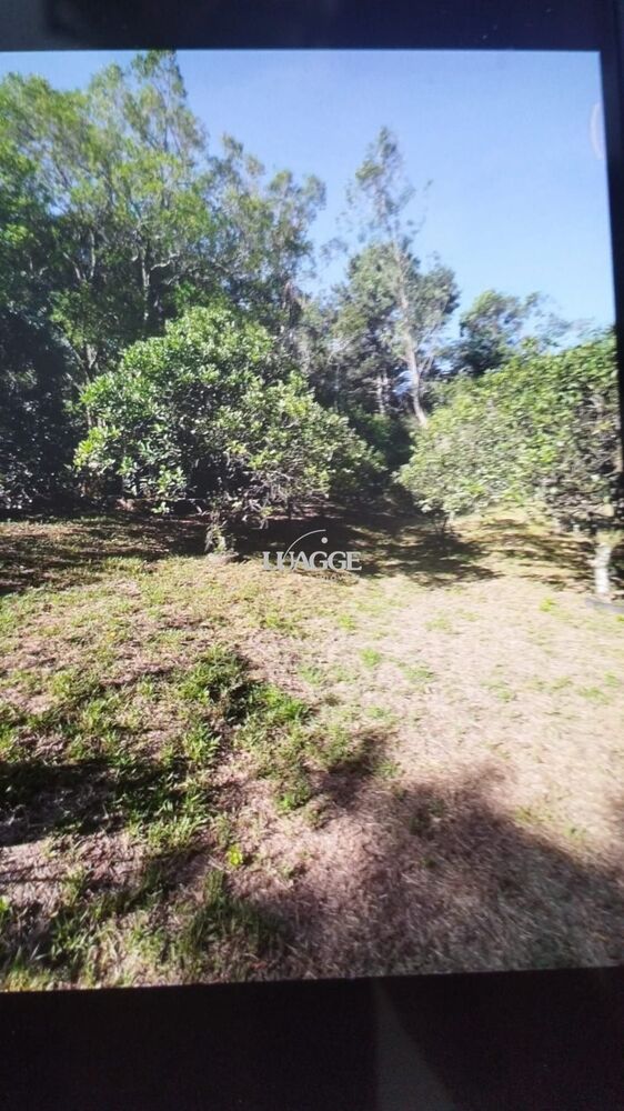 Chácara, 3 quartos, 2 hectares - Foto 8