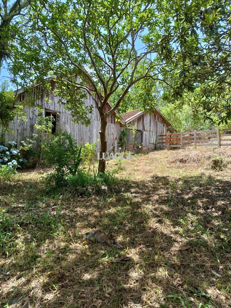 Chácara, 3 quartos, 2 hectares - Foto 5