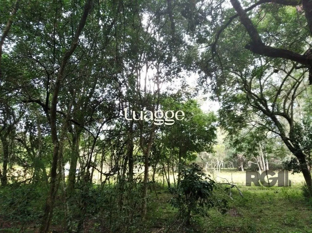 Terreno, 801 m² - Foto 1