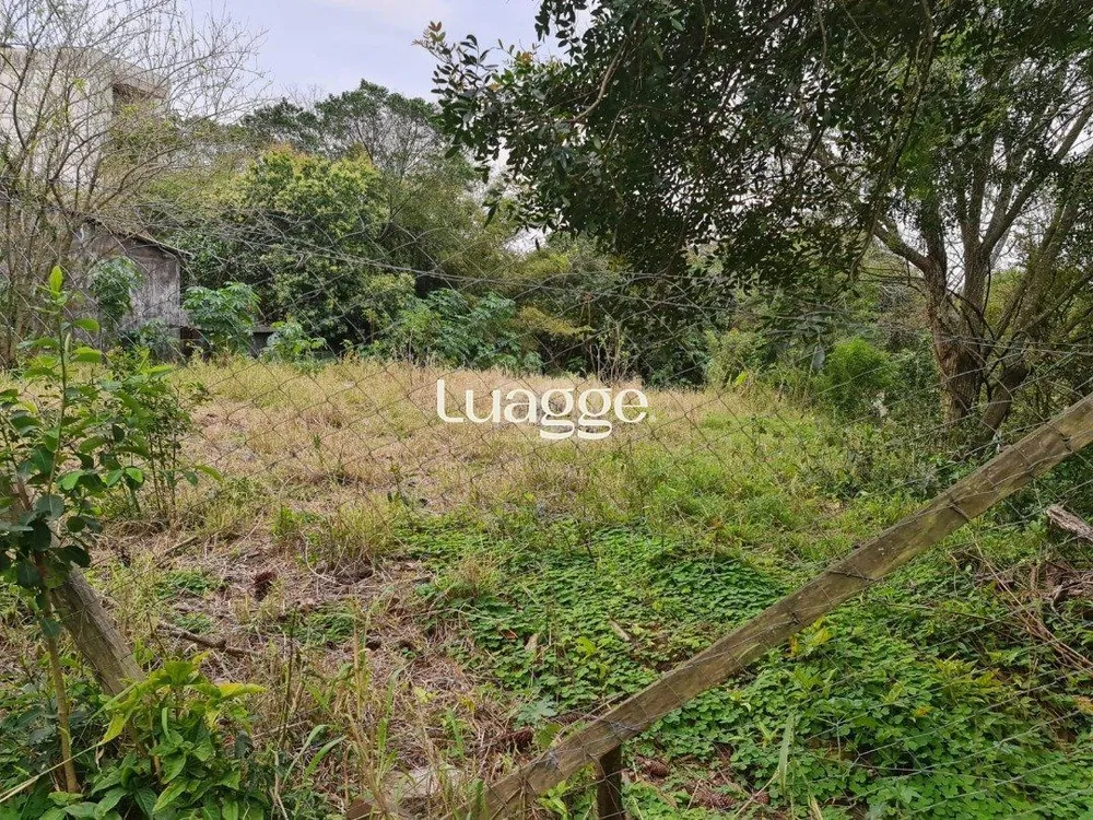 Terreno, 301 m² - Foto 3