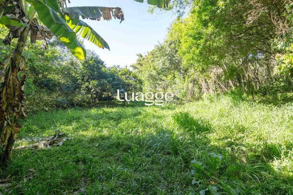 Casa, 6 quartos, 394 m² - Foto 2