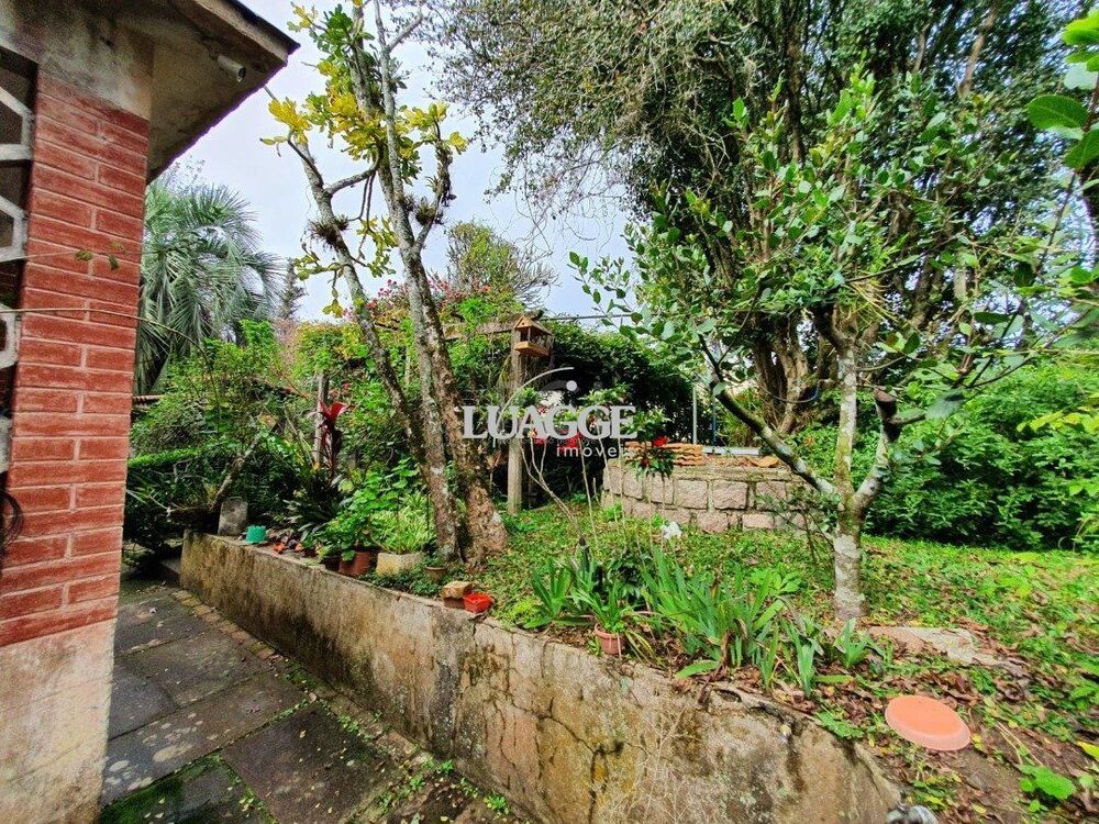 Terreno à venda, 5333m² - Foto 4
